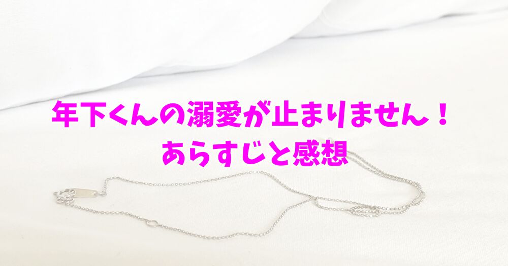 年下くんの溺愛が止まりません！　ネタバレ　あらすじ　感想