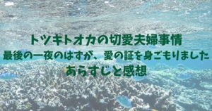 トツキトオカの切愛夫婦事情　ネタバレ　感想　あらすじ